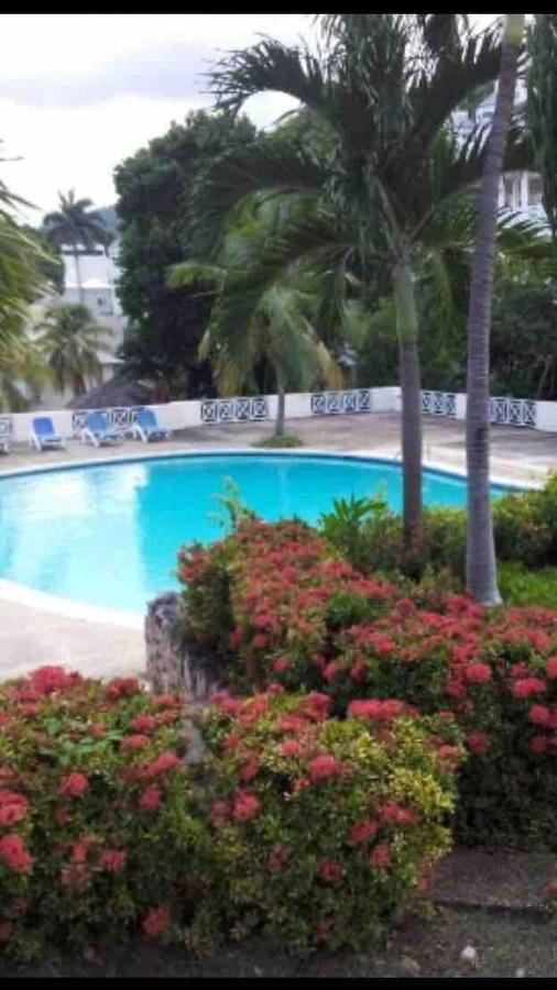 #D1 Castle Studio Wifi King Bed Ocho Rios Jamaica Zewnętrze zdjęcie