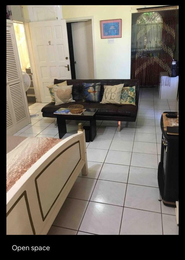 #D1 Castle Studio Wifi King Bed Ocho Rios Jamaica Zewnętrze zdjęcie